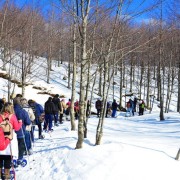 Giornata sulla neve con Maggialetti Viaggi