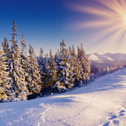 Giornata sulla neve con Maggialetti Viaggi