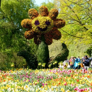 isola di mainau